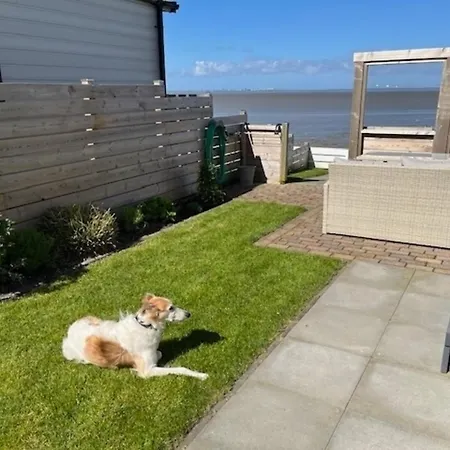 Traumlage Nr51 Traumblick Direkt Am Wattenmeer Erste Reihe Unendliche Weite, Eingebettet In Der *