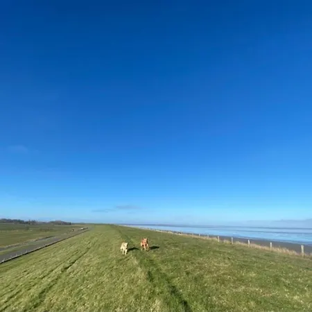 Traumlage Nr51 Traumblick Direkt Am Wattenmeer Erste Reihe Unendliche Weite, Eingebettet In Der Casa vacanze *