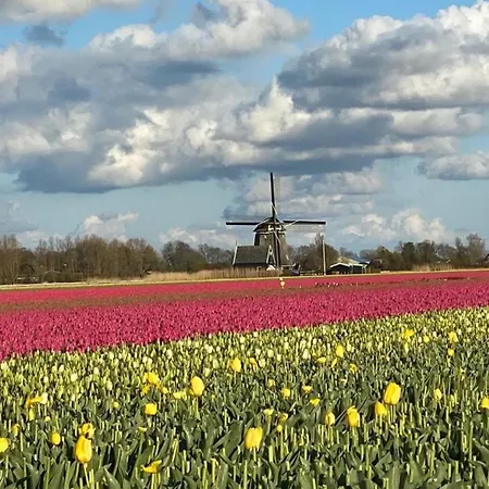 Traumlage Nr51 Traumblick Direkt Am Wattenmeer Erste Reihe Unendliche Weite, Eingebettet In Der Casa vacanze